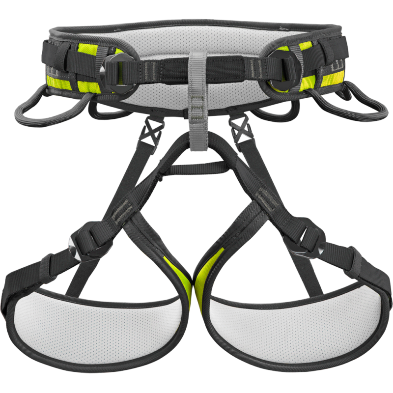 ASCENT PRO